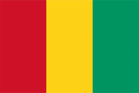 Guinea Flag