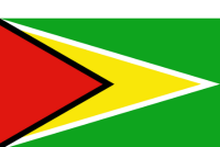 Guyana Flag